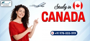 Top Study Visa Consultants in Chandigarh for Global Education Dreams