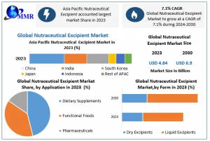 Nutraceutical Excipient Market Size to Expand at 7.1% CAGR to USD 6.9 Bn by 2030