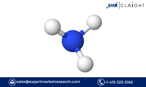 Carbon Nitride Market