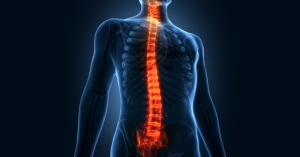 Modern Methods and Approaches of Spinal Diseases Diagnosis