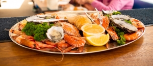 Catch of the Coast: Savoring Mooloolaba's Seafood Heritage on a Scenic Cruise