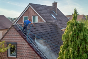 Roof Maintenance Tips to Meet Home Insurance Requirements