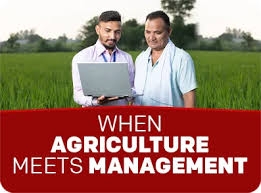 Why Pursue an MBA in Food and Agribusiness Management? Career Pathways and Opportunities