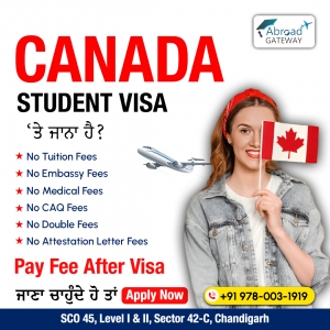 Step-by-Step Guidance from Study Visa Consultants in Chandigarh