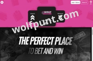 Cricket Betting on Wolfpunt: A Game of Skill