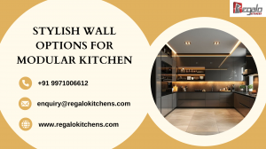 Stylish Wall Options for Modular Kitchen