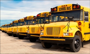 School Bus Rentals: The Unexpected Transportation Hack For Big Events!