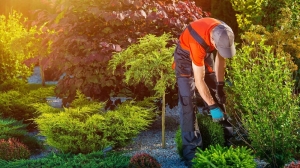 Reliable Landscaper Bradford: Transform Your Outdoor Spaces