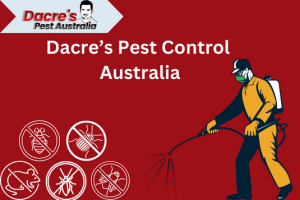 Tips for Safe and Effective Pest Control.
