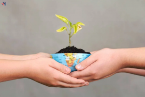 Environmental Science and Sustainable Practices: Nurturing Our Planet for Tomorrow