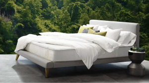 6 reasons to choose a natural filling mattress