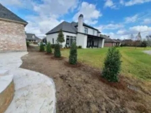 Enhance Your Outdoor Space with Expert Tree Planting Contractor Services in Baton Rouge, LA