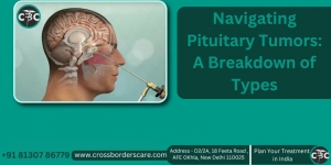 Navigating Pituitary Tumors: A Breakdown of Types