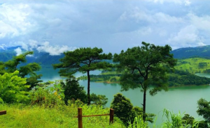 Discover the Hidden Gems of Meghalaya with Nitsa Holidays: Your Perfect Holiday Awaits