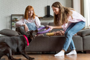 Ensuring Your Dog’s Care and Comfort with Dog Sitting Services in New Orleans