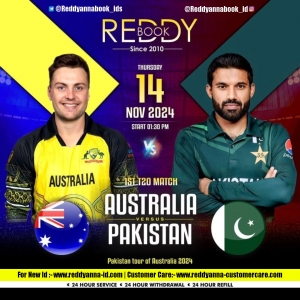Elevate Your Sports Experience with Reddy Anna