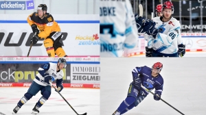 Winter Olympic: Priorities of a Professional Ice Hockey Player