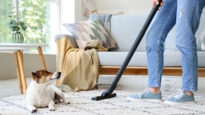 Why is it Best to Steam Clean a Carpet?