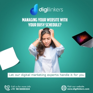 Digital Marketing Services in Delhi: Achieve Success with Digilinkers