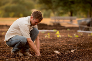 The Importance of Sourcing Organic Beef Tallow 