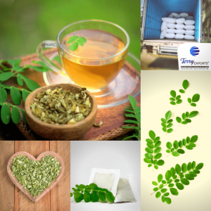 Why Terry Exports is the Best Choice for Bulk Moringa Products