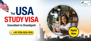 Why Choose Study Visa Consultants in Chandigarh for a Smooth Visa Process