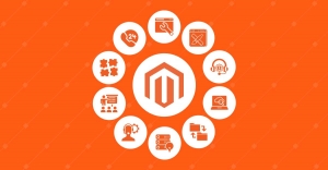 Transform Your B2B eCommerce with Magento 2 Managed Services