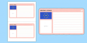 Blank Driver’s License Template - High-Quality, Customizable License Designs