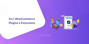 A Complete Guide of 3 Top WooCommerce Extensions For Your Store 2024-2025