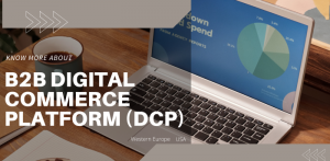 What is a B2B Digital Commerce Platform (DCP)?