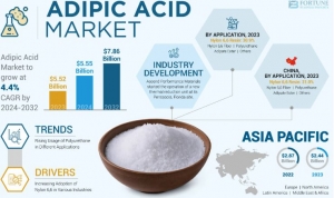 Adipic Acid Market Future Challenges and Industry Growth and Revenue Analysis