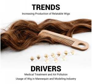 Hair Wig Market Growth, Trends, Size, Revenue Insights, and Key Drivers by 2032