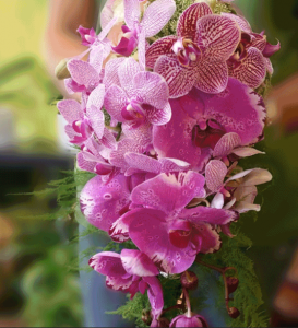 Fall Orchid Arrangements: Affordable Elegance with 10% Off