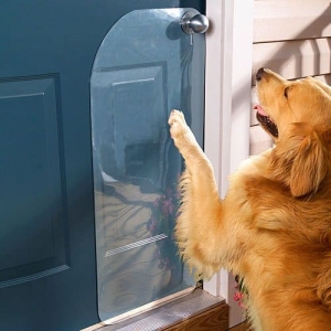 Mastering Doorbell Dog Etiquette Training