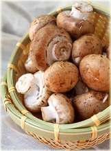 Unlock the Secrets of Home Cultivation with Mushroom Growing 4 You Promo Code