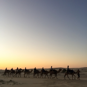 From Sunrise to Sunset: A Day in a Desert Camp in Jaisalmer