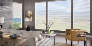 Transform Your Space with Quality Window Coverings and Treatments