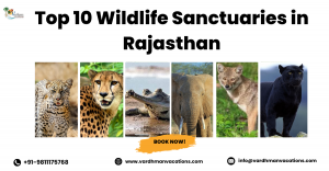 Top 10 Wildlife Sanctuaries in Rajasthan