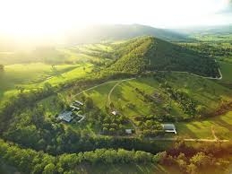 Explore Unique Holiday Homes In Newcastle Australia