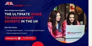 The Ultimate Guide to Assignment Experts in the UK