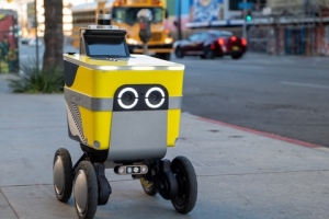 Last-Mile Delivery Robot Market