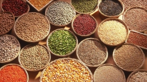 Scaling new heights in taste and nutrition Millet Based Snacks Market is trending towards healthier options