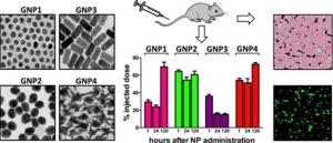 Endotoxin Free Gold Nanoparticles for Biomedical Research and Bioassay Development