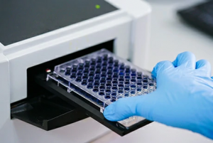 Animal-Derived DNA Residue Assay Kits (qPCR) for Research Applications