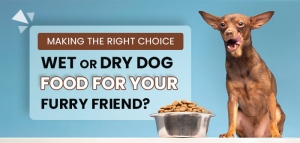 Making the Right Choice: Wet or Dry Dog Food for Your Furry Friend?