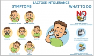 Lactose Intolerance Market Size, Industry Trends, Growth 2024-34