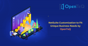 NetSuite Customization to Fit Unique Business Needs by OpenTeQ Technologies 