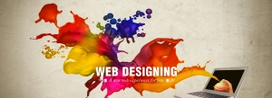 Best Website design company in Delhi | IIS INDIA 