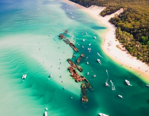 Adventure, peace, and beauty - Moreton Bay cruises have it all!