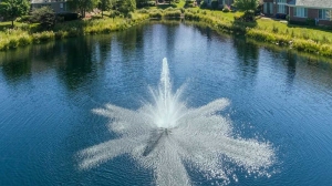 Revitalize Your Backyard: Expert Pond and Waterfront Services in Ann Arbor